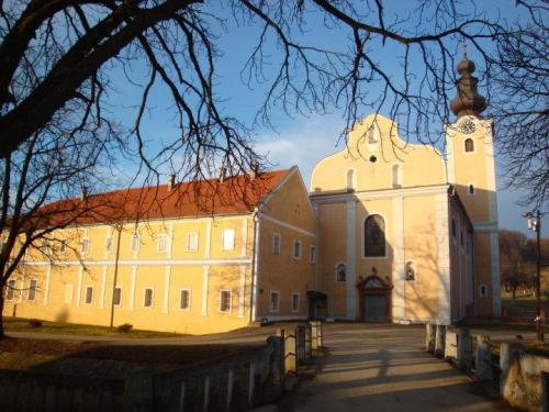 30167 129535163729450 7924167 n