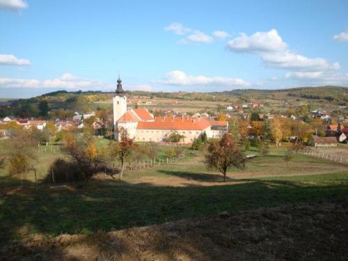 30167 129535203729446 3228528 n